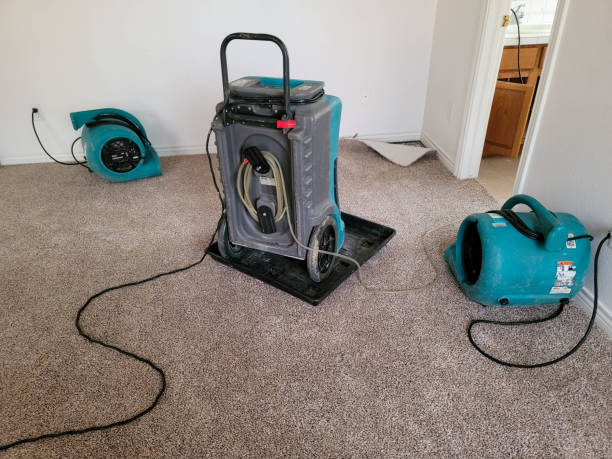 Best Residential water damage restoration  in Ranson, WV