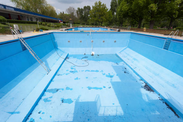 Best Water damage contractors near me  in Ranson, WV