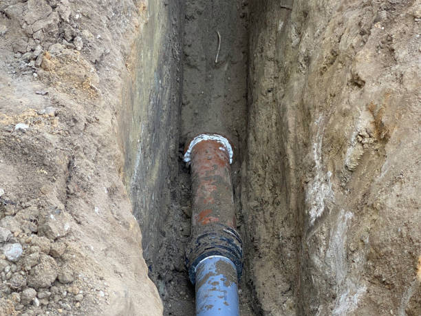 Best Flood damage cleanup  in Ranson, WV
