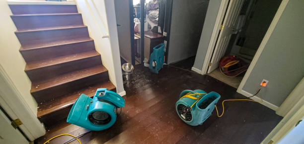 Best Basement water damage restoration  in Ranson, WV