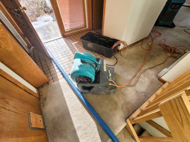 Best Professional water damage repair  in Ranson, WV