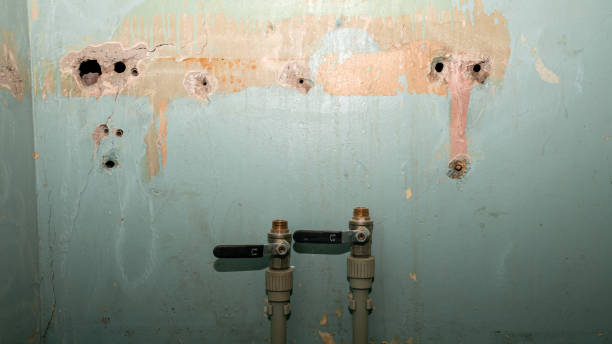 Best Ceiling water damage repair  in Ranson, WV