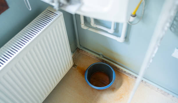 Best Fire Damage Restoration  in Ranson, WV