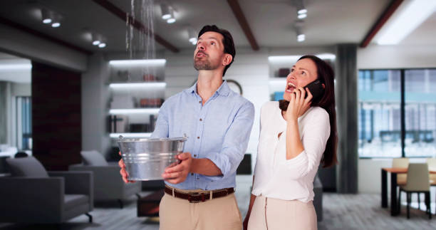 Best Water damage restoration near me  in Ranson, WV